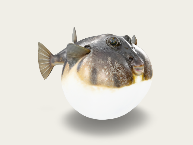 Funny Fish model preview