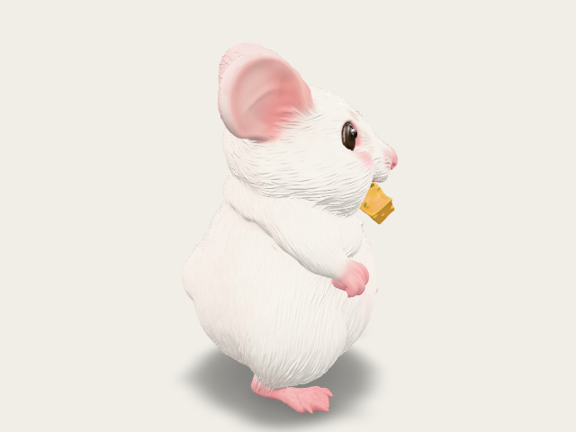 My Sweet House Mouse model preview