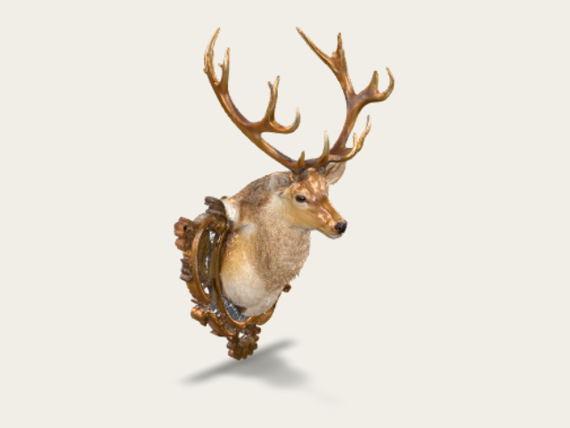 Noble Stag Trophy model preview