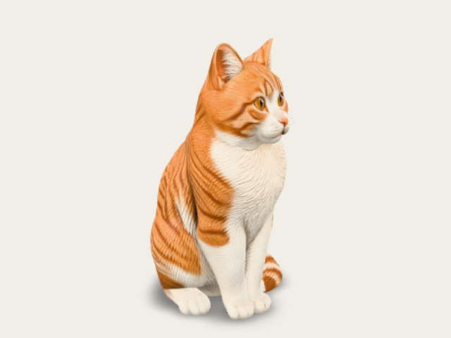 Orange White Cat Best 3D model preview