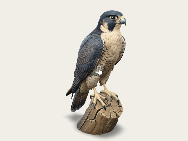 Peregrine Falcon model preview
