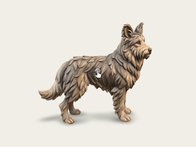 Picardy Sheepdog model preview