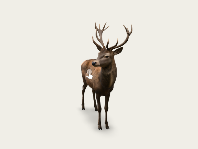 Red Deer Stag preview