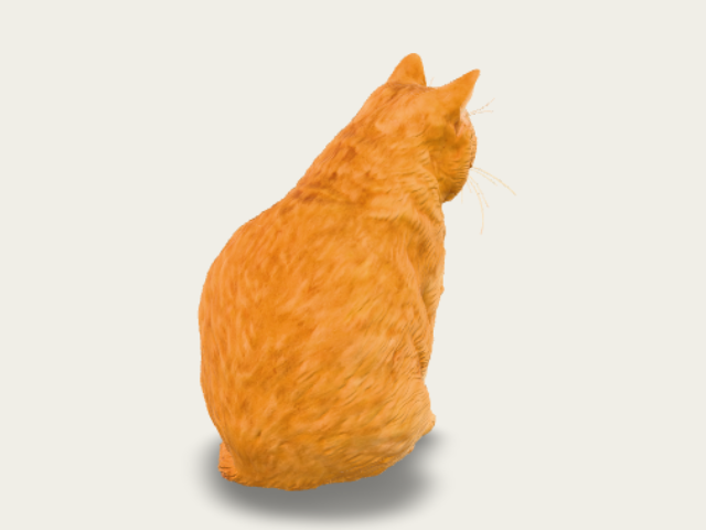 Rix The Orange Cat preview