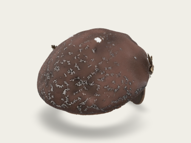 Realistic Handcrafted Owlthemed Hat With Integrate preview