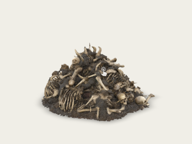 Human Bones Heap preview