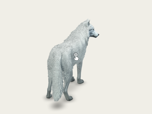 Aurora Wolf model preview