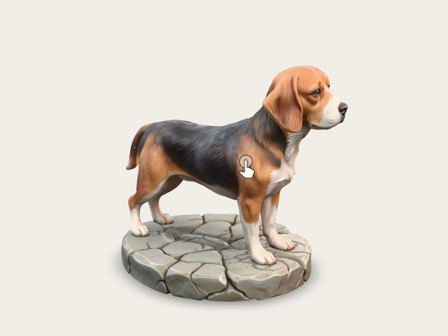 Beagle model preview