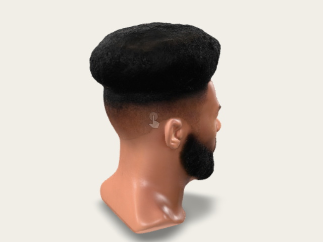 Bearded Afro Portrait model preview