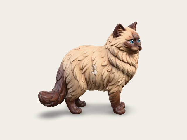 Himalayan Cat model preview