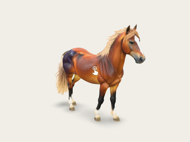 Majestic Stallion preview