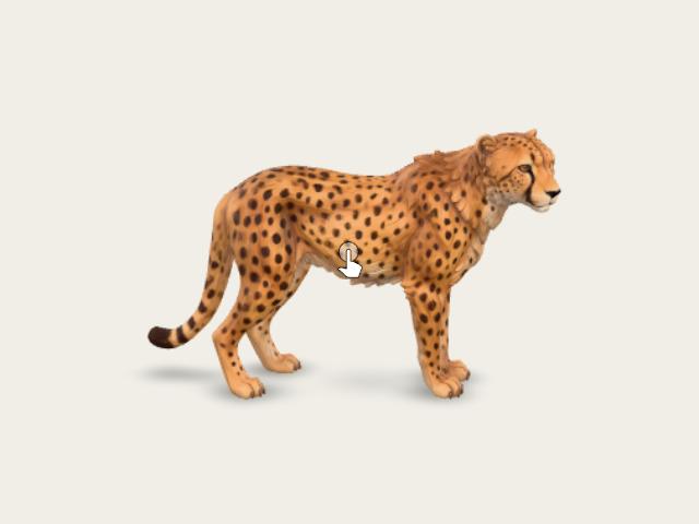 Cheetah model preview