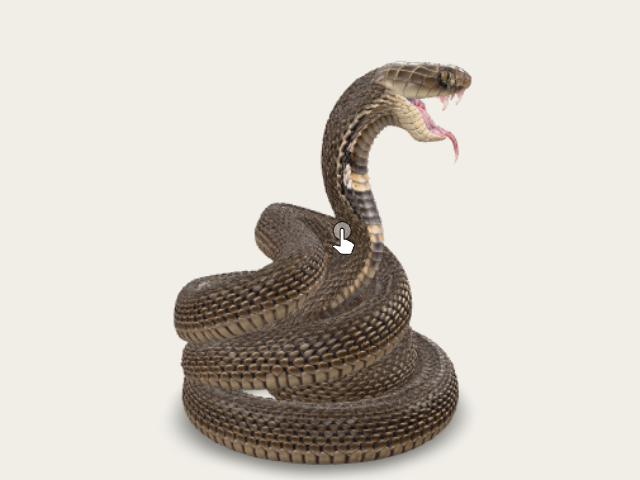 Coiled Cobra model preview