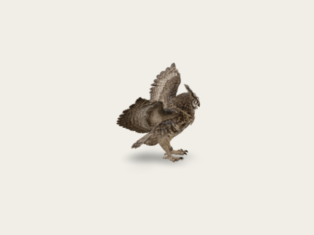 Crystalwing Owl model preview